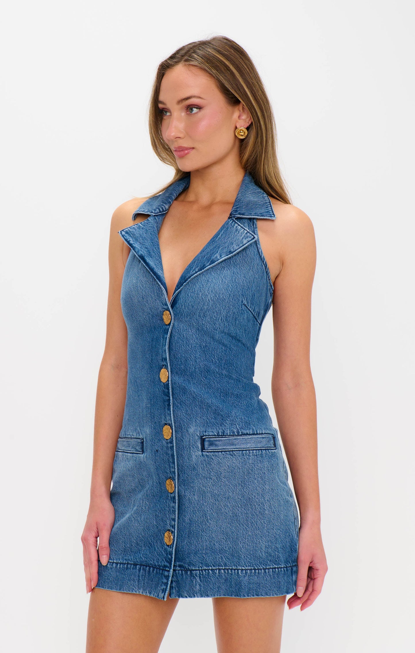 Darien Dress ~ Bluebird